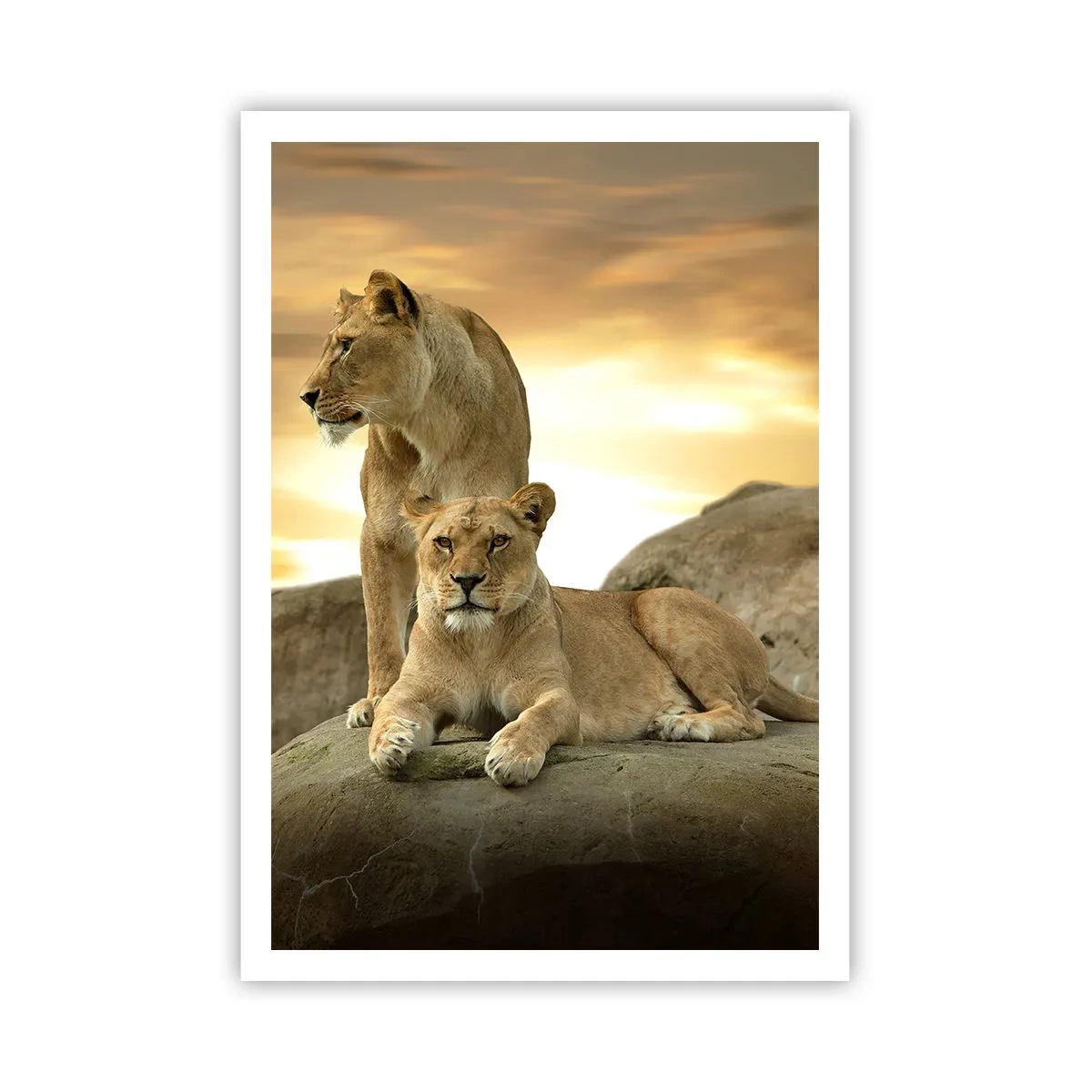 Póster - Majestuosidad real - 70x100 cm