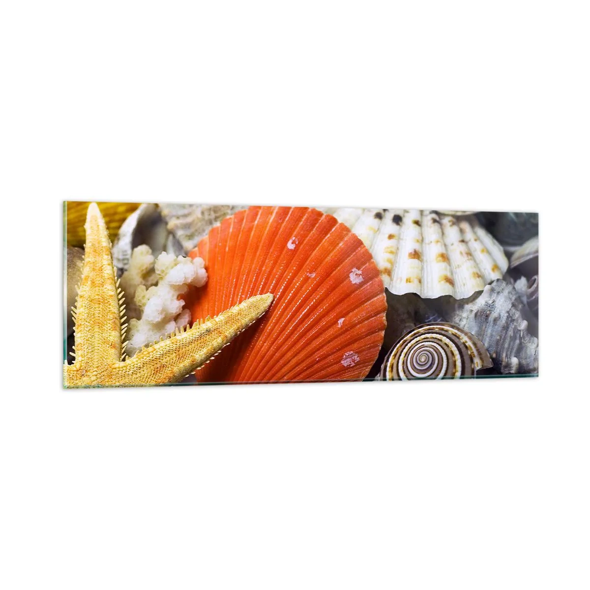 Cuadro sobre vidrio - Impresiones sobre Vidrio - Tesoros del océano - 90x30 cm