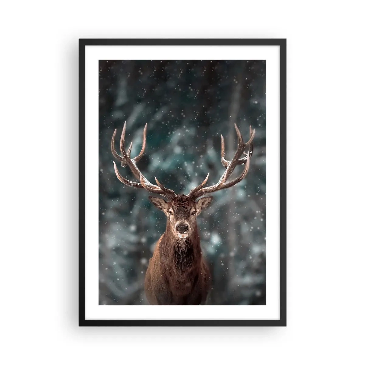 Póster en marco negro - Retrato de un ciervo con impresionantes astas con el telón de fondo de un bosque invernal. - 50x70cm - Coronado rey del bosque - Decoración de pared moderna para salón y dormitorio ARTTOR