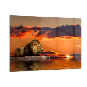 Cuadro sobre vidrio - Impresiones sobre Vidrio - Un león con el sol poniente como telón de fondo - 120x80cm - Rey de la naturaleza - Decoración de pared moderna para salón y dormitorio ARTTOR