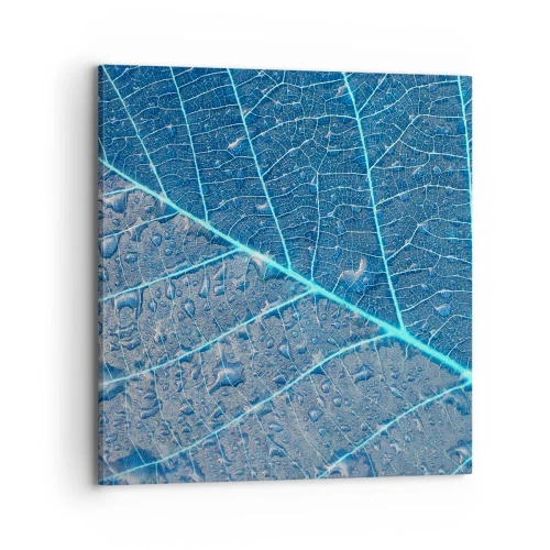 Cuadro sobre lienzo - Impresión de Imagen - Vida en el azul - 70x70 cm