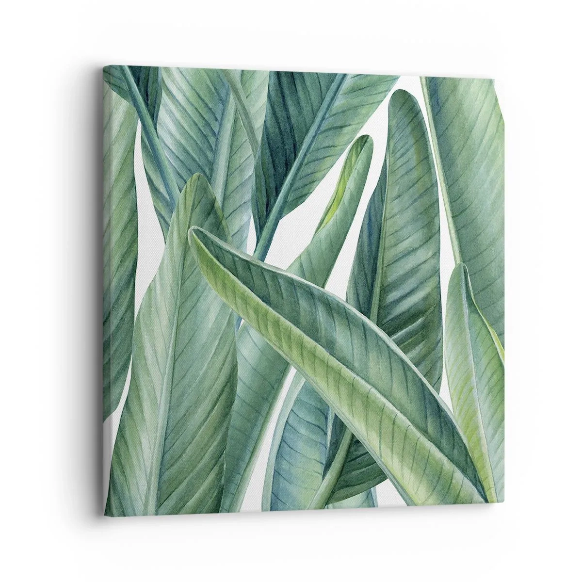 Cuadro sobre lienzo - Impresión de Imagen - Vegetación en estado puro - 30x30 cm