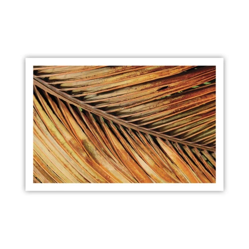 Póster - Oro de coco - 91x61 cm