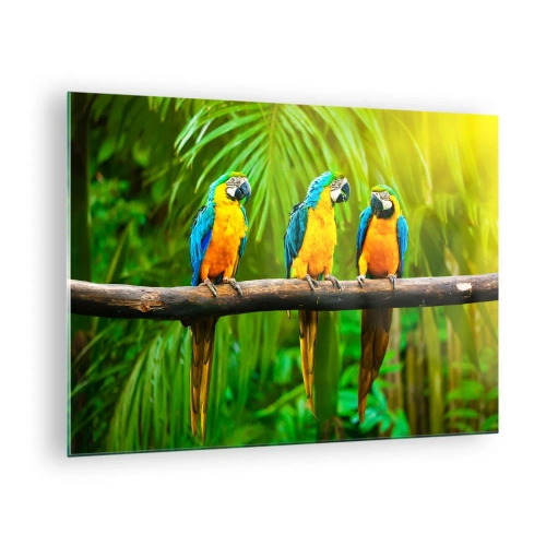 Cuadro sobre vidrio - Impresiones sobre Vidrio - Tres loros guacamayos en una rama en un bosque tropical - 70x50cm - ¿Y has oído que ella...? - Decoración de pared moderna para salón y dormitorio ARTTOR