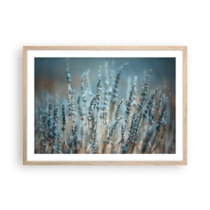 Póster en marco roble claro - Fragante pasto - 70x50 cm