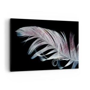Cuadro sobre lienzo - Impresión de Imagen - Una delicada pluma sobre un fondo negro en un enfoque artístico. - 120x80cm - Piensa en el tacto - Decoración de pared moderna para salón y dormitorio ARTTOR