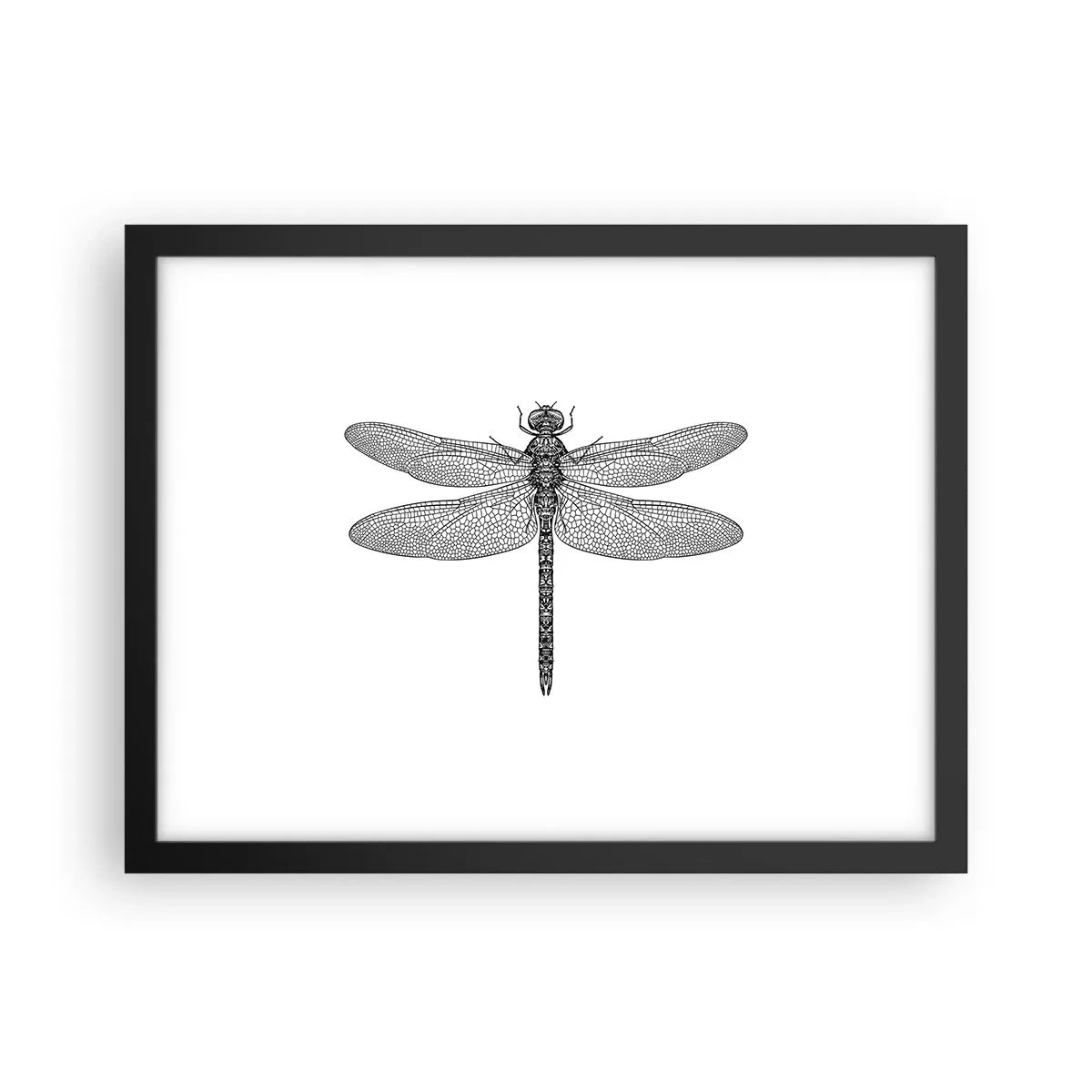 Póster en marco negro - Precisión de la naturaleza - 40x30 cm