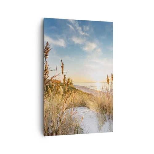 Cuadro sobre lienzo - Impresión de Imagen - Una playa pintoresca con césped y la puesta de sol. - 80x120cm - Playa del norte - Decoración de pared moderna para salón y dormitorio ARTTOR