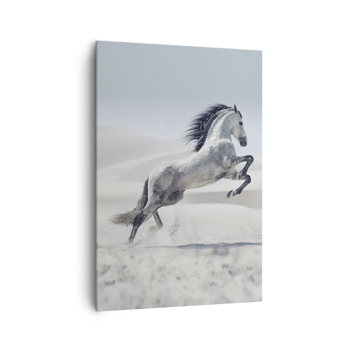 Cuadro sobre lienzo - Impresión de Imagen - Un caballo blanco galopando con las dunas del desierto como telón de fondo. - 70x100cm - Un príncipe árabe - Decoración de pared moderna para salón y dormitorio ARTTOR