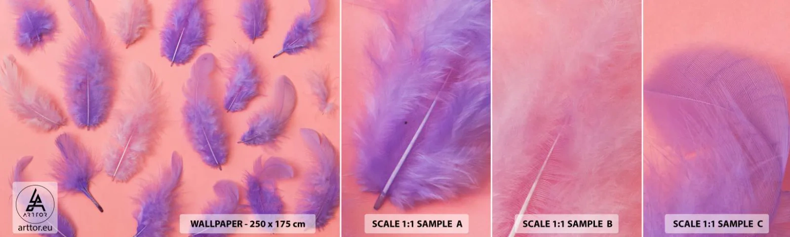 Muestra De Fotomural Standard Eco - Un pájaro lila del deseo - Pluma de ave, Inspiración, Gráficos - 100x30 cm