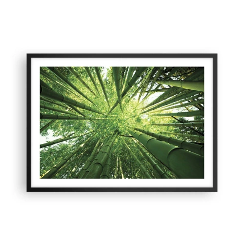 Póster en marco negro - Vista hacia arriba a través de un bosque de bambú verde. - 70x50cm - En un bosquecillo de bambú - Decoración de pared moderna para salón y dormitorio ARTTOR