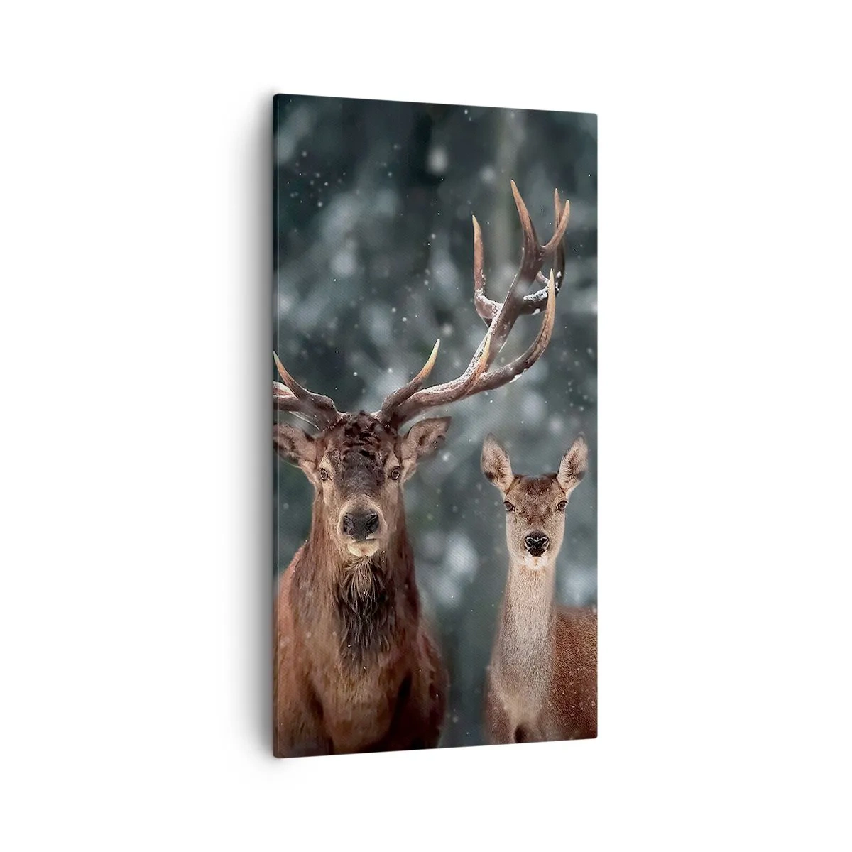 Cuadro sobre lienzo - Impresión de Imagen - El señor y la señora del bosque - 55x100 cm