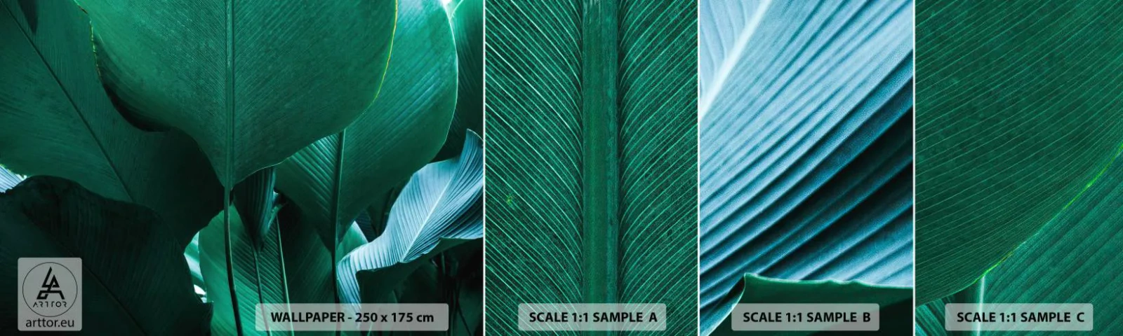 Muestra de fotomural autoadhesivo Deluxe Sticker - De cara a la luz - Hoja de banana, Banano, Planta - 100x30 cm