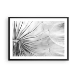 Póster en marco negro - Delicados dientes de león en tonos blanco y negro. - 70x50cm - Caricias del viento - Decoración de pared moderna para salón y dormitorio ARTTOR