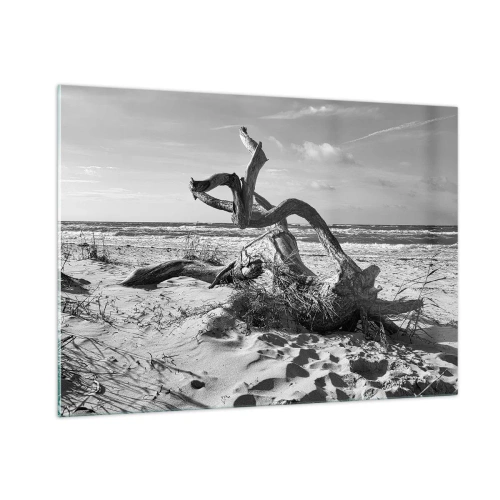 Cuadro sobre vidrio - Impresiones sobre Vidrio - Un paisaje en blanco y negro con una rama caída en una playa. - 100x70cm - Escultura marina - Decoración de pared moderna para salón y dormitorio ARTTOR