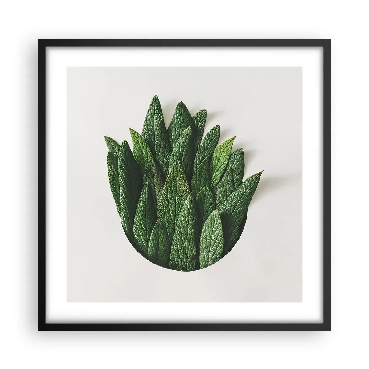 Póster en marco negro - Curiosidad desenfrenada - 50x50 cm