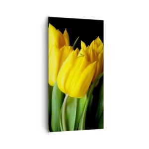 Cuadro sobre lienzo - Impresión de Imagen - Resucitado de puro sol - 65x120 cm