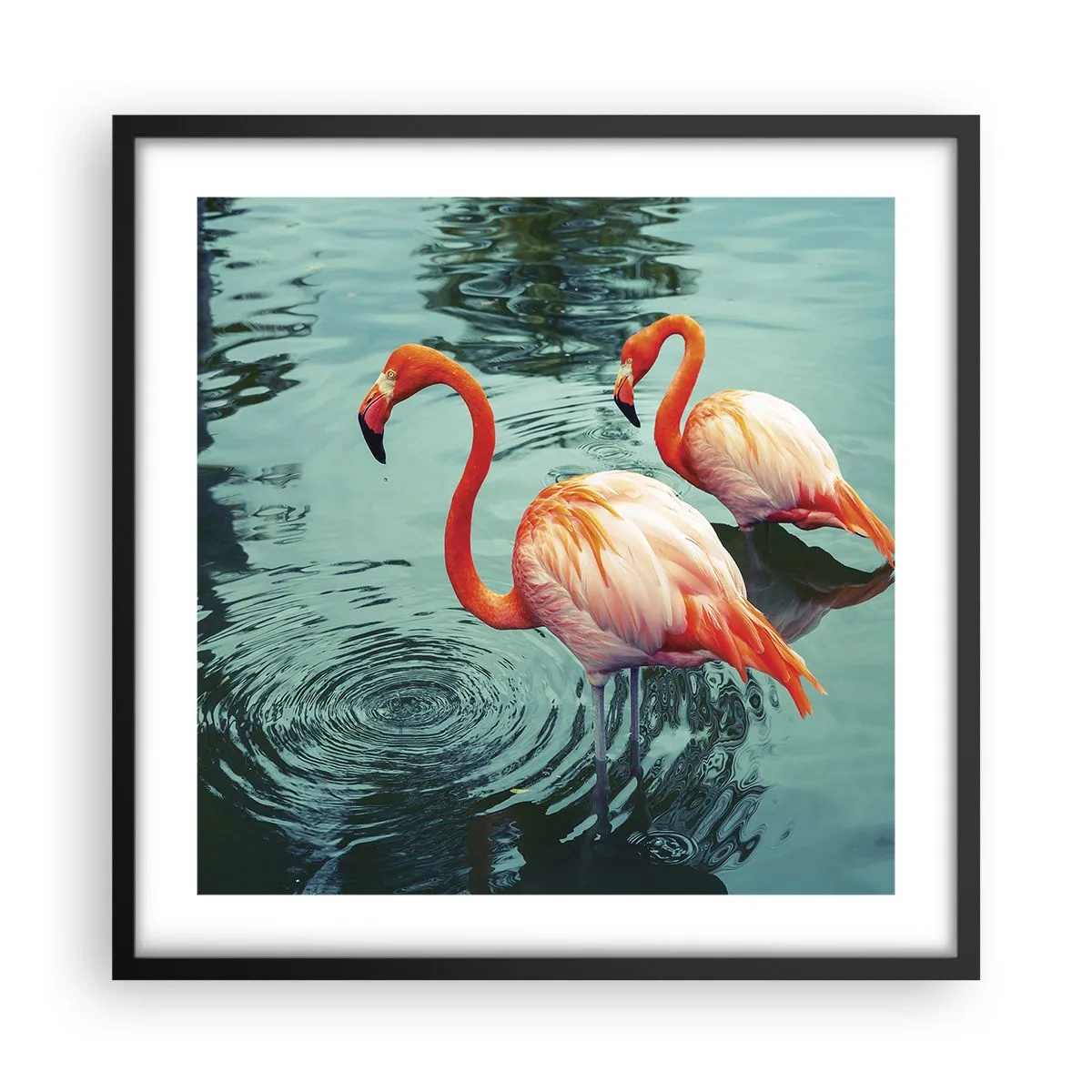Póster en marco negro - Estamos de moda - 50x50 cm