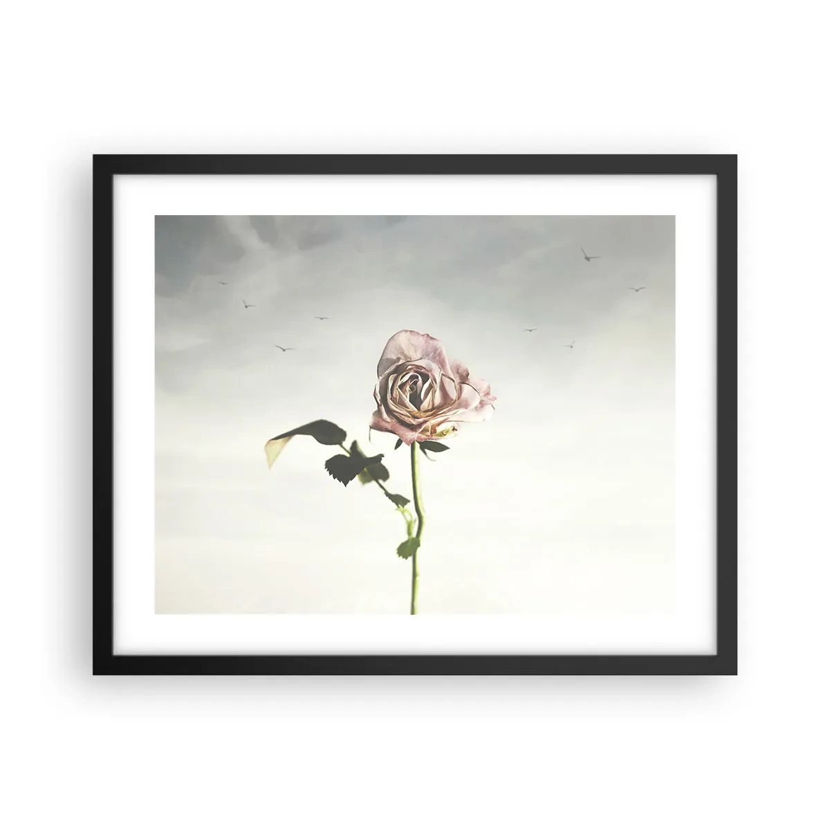 Póster en marco negro - Bienvenida a la primavera - 50x40 cm