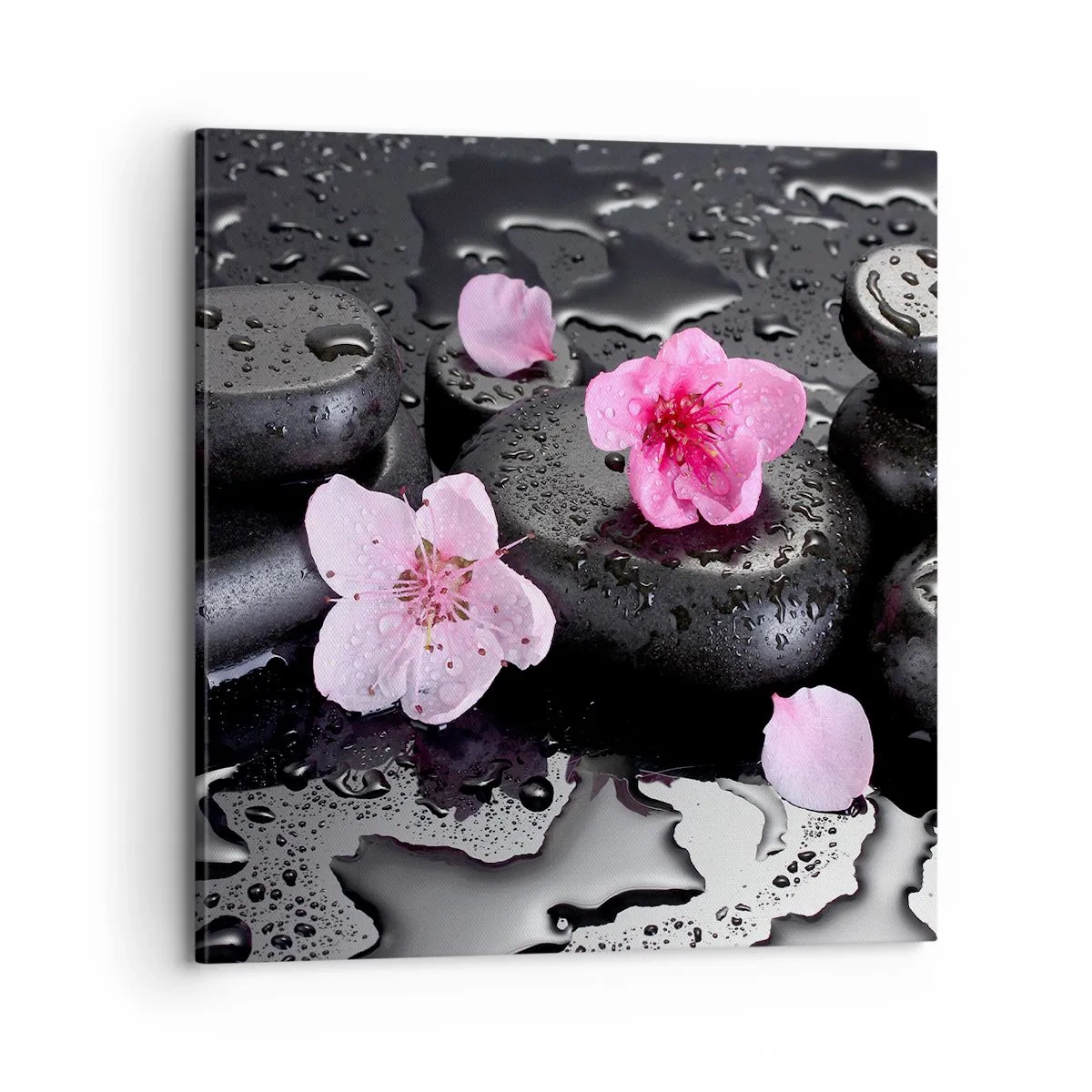 Cuadro sobre lienzo - Impresión de Imagen - Y una piedra cae del corazón - 70x70 cm