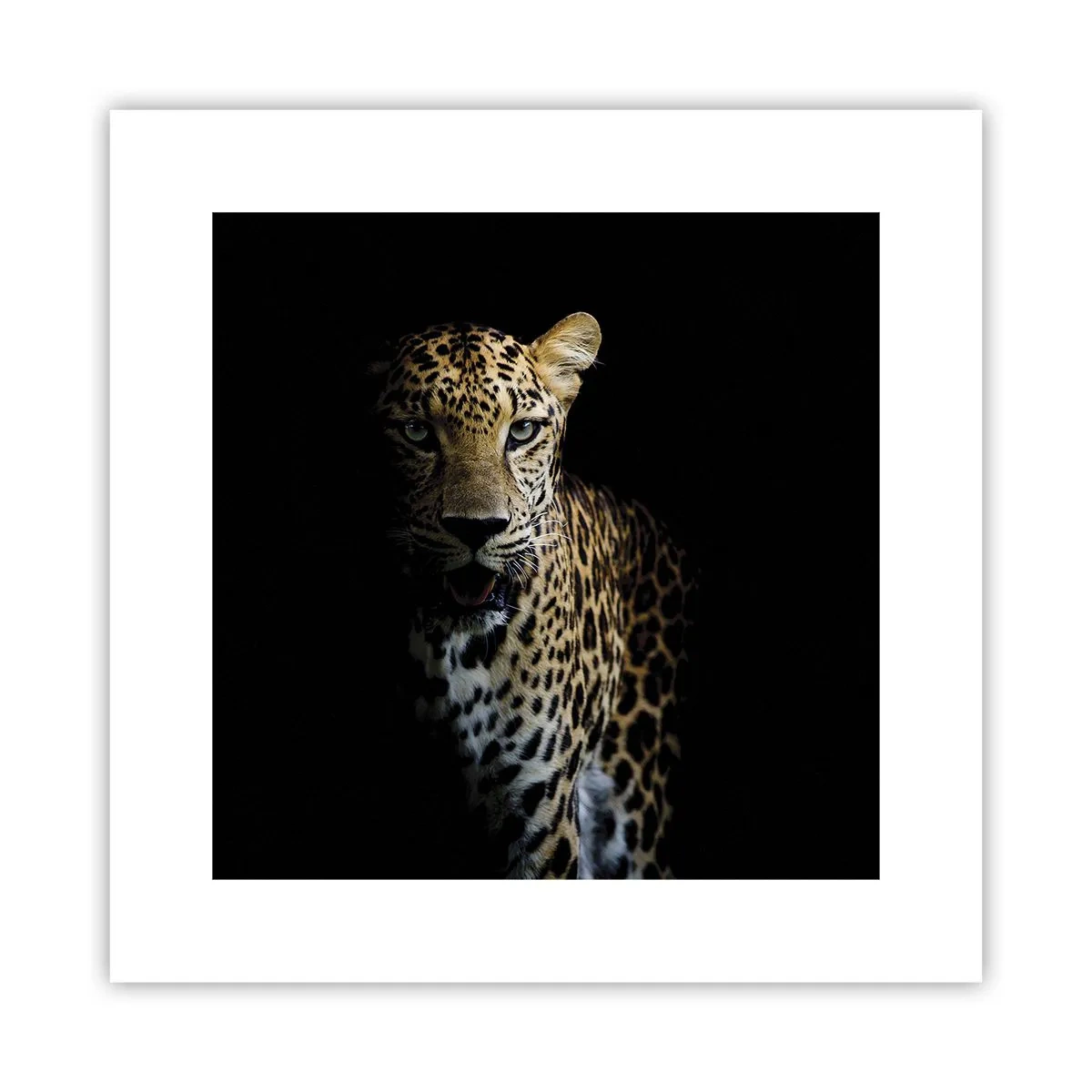 Póster - Belleza oscura - 30x30 cm