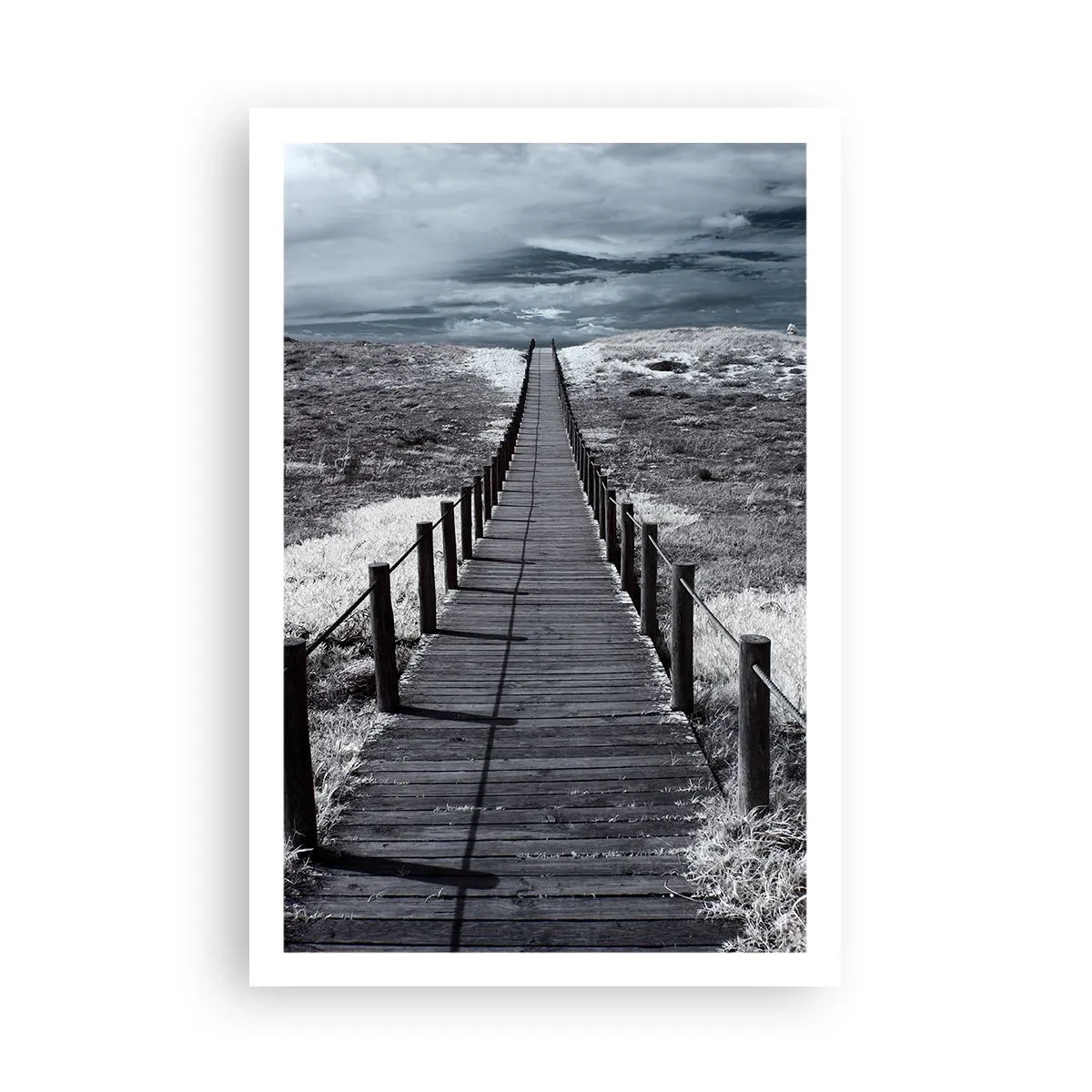 Póster - En plena costa - 61x91 cm