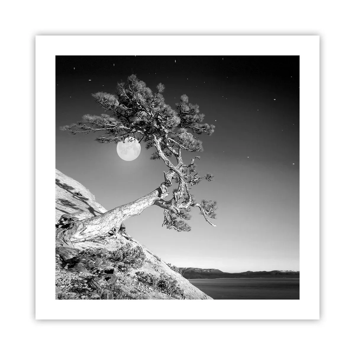 Póster - Un guerrero victorioso - 50x50 cm