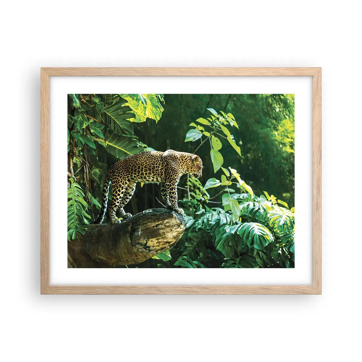 Póster en marco roble claro - ¿A la caza? - 50x40 cm