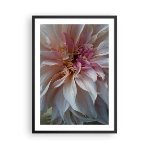 Póster en marco negro - Primer plano de delicados pétalos de flores en colores pastel. - 50x70cm - Frescura floreciente - Decoración de pared moderna para salón y dormitorio ARTTOR