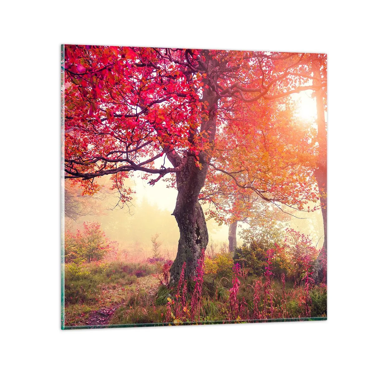 Cuadro sobre vidrio - Impresiones sobre Vidrio - Un frenesí de floración - 40x40 cm