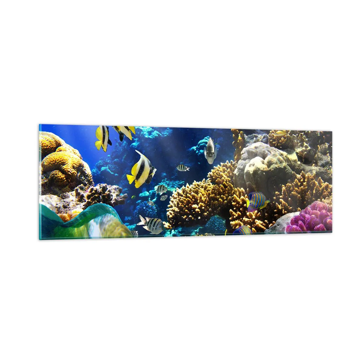 Cuadro sobre vidrio - Impresiones sobre Vidrio - Vacaciones submarinas - 90x30 cm
