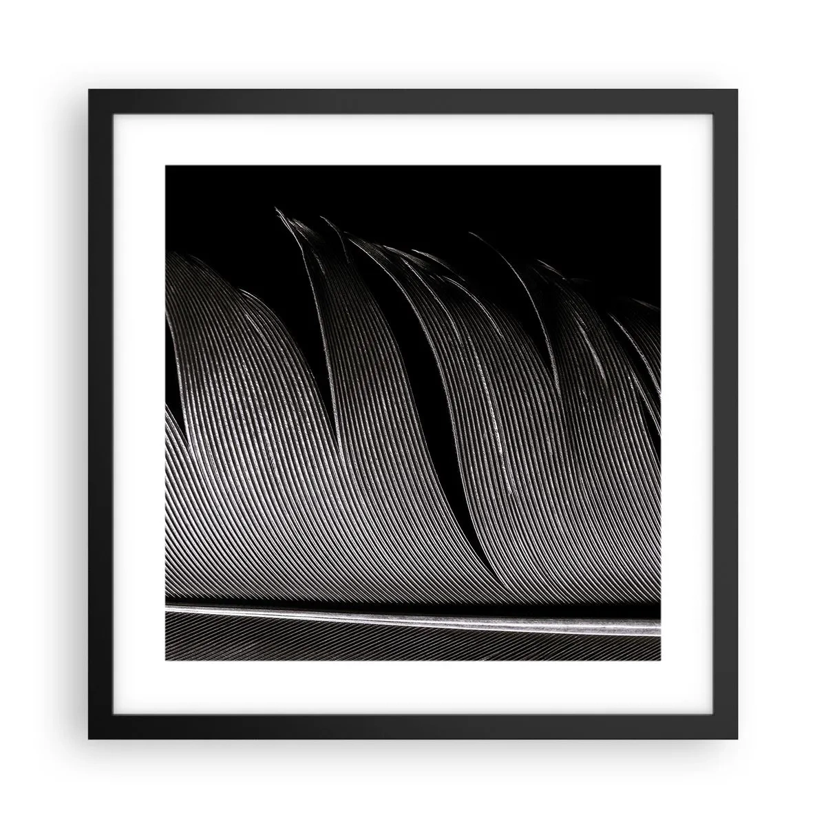Póster en marco negro - Pluma - una construcción maravillosa - 40x40 cm
