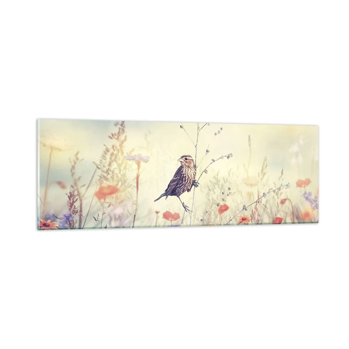 Cuadro sobre vidrio - Impresiones sobre Vidrio - Retrato de pájaro con prado de fondo - 90x30 cm