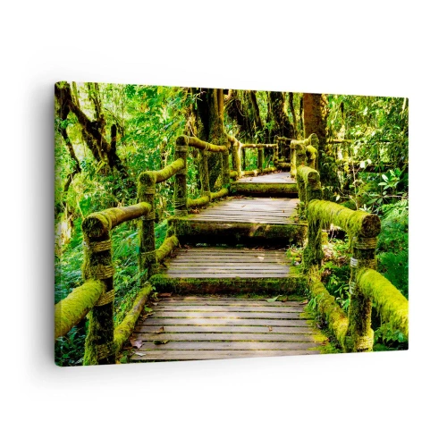 Cuadro sobre lienzo - Impresión de Imagen - Un puente de madera cubierto de musgo en una selva tropical. - 70x50cm - A través de un corredor verde - Decoración de pared moderna para salón y dormitorio ARTTOR