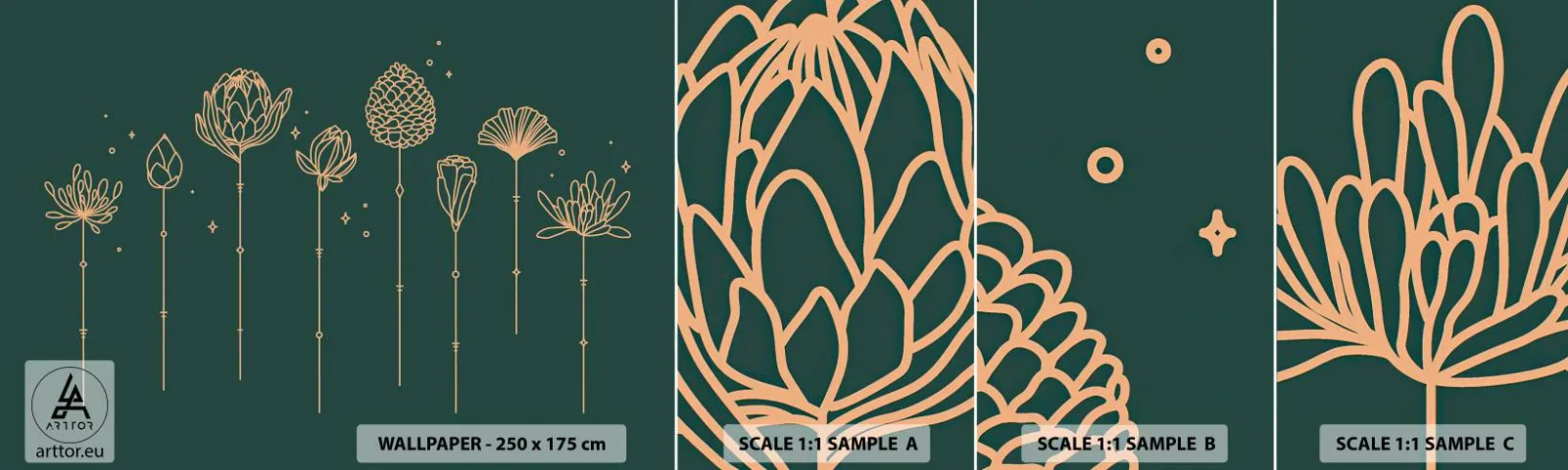 Muestra De Fotomural Standard Eco - La familia vegetal - flores, Arte deco, minimalista - 100x30 cm