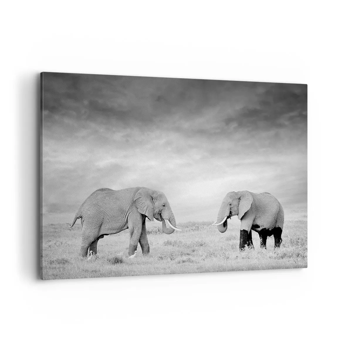 Cuadro sobre lienzo - Impresión de Imagen - Dos elefantes con la sabana africana como telón de fondo - 120x80cm - El gris es hermoso - Decoración de pared moderna para salón y dormitorio ARTTOR