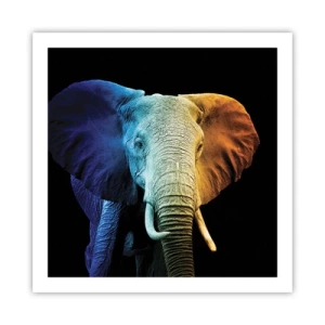 Póster - Excéntrico, no un bicho raro - 60x60 cm