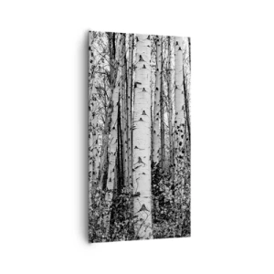 Cuadro sobre lienzo - Impresión de Imagen - Columnas de abedules - 65x120 cm