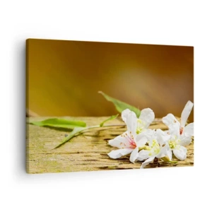Cuadro sobre lienzo - Impresión de Imagen - Flores blancas sobre un fondo de madera con luz natural. - 70x50cm - Una promesa inocente - Decoración de pared moderna para salón y dormitorio ARTTOR
