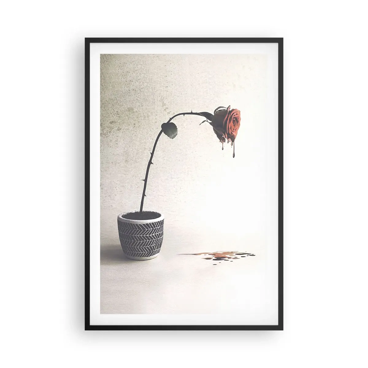 Póster en marco negro - Rosa dolorosa - 61x91 cm
