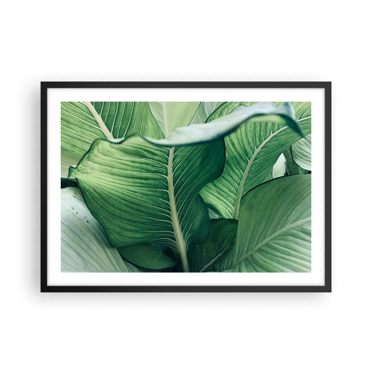 Póster en marco negro - Hojas verdes con detalles expresivos y estructura. - 70x50cm - Vida intensamente verde - Decoración de pared moderna para salón y dormitorio ARTTOR