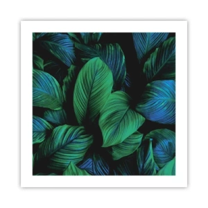 Póster - En la multitud verde - 50x50 cm