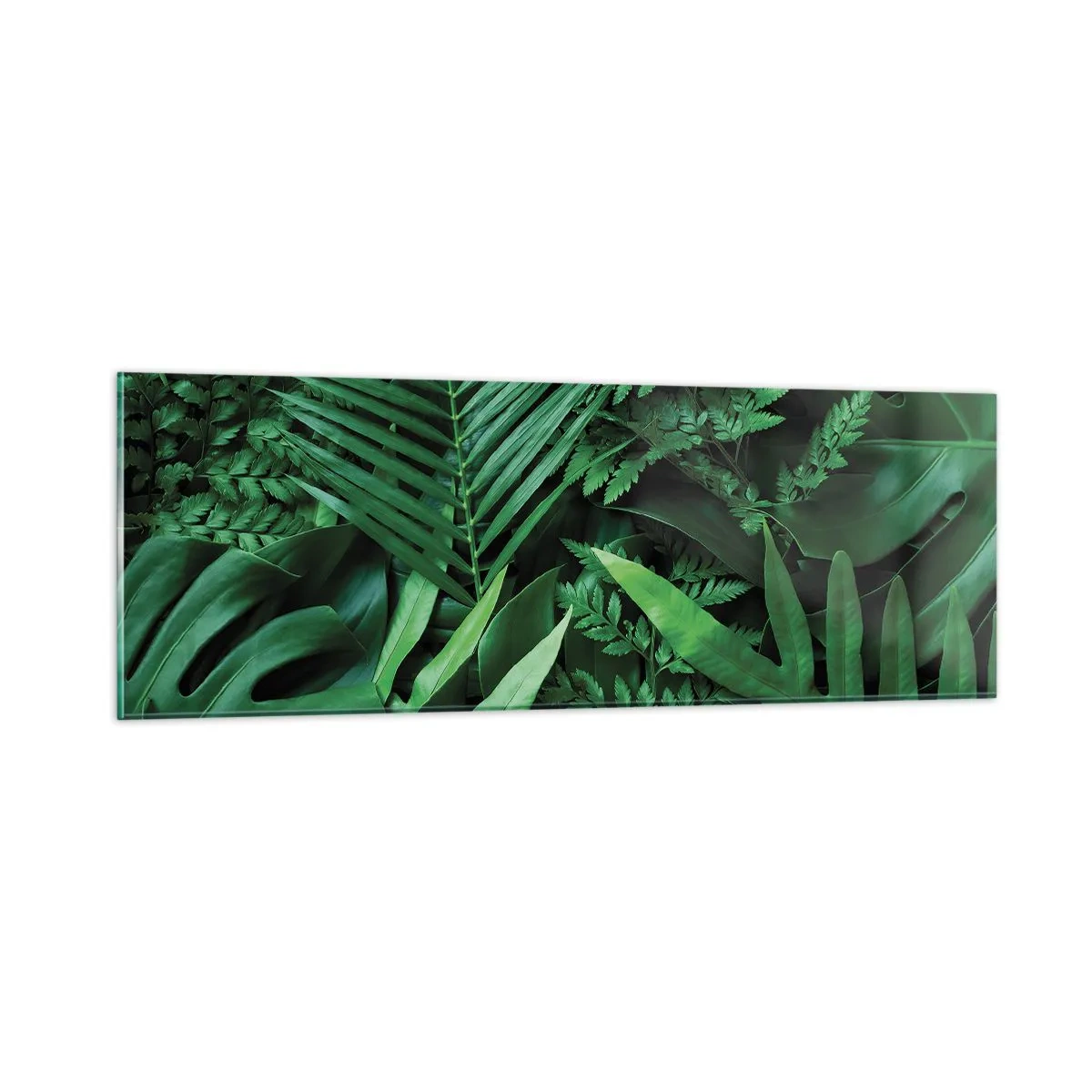 Cuadro sobre vidrio - Impresiones sobre Vidrio - Abrazo verde - 90x30 cm