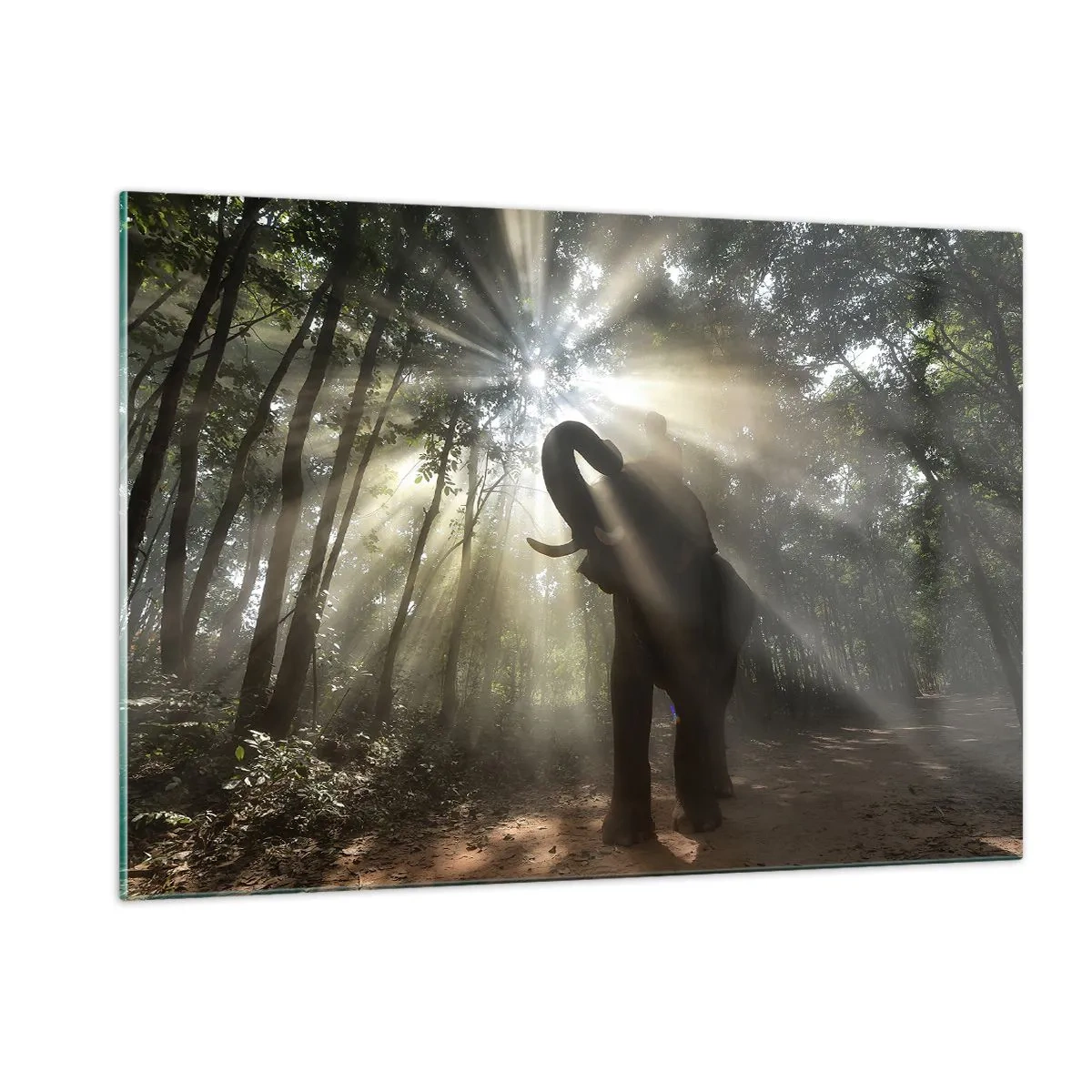 Cuadro sobre vidrio - Impresiones sobre Vidrio - Un elefante en un bosque iluminado por la luz del sol. - 120x80cm - Bajo una estrella de la suerte - Decoración de pared moderna para salón y dormitorio ARTTOR