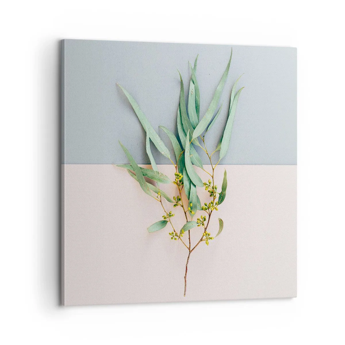 Cuadro sobre lienzo - Impresión de Imagen - La sutileza del pastel - 60x60 cm