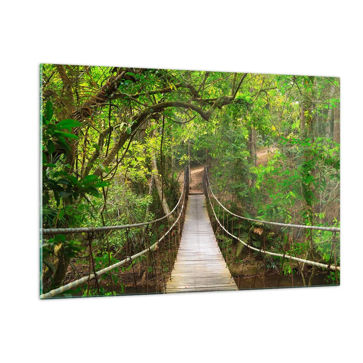 Cuadro sobre vidrio - Impresiones sobre Vidrio - Puente colgante en un bosque tropical - 120x80cm - Porque la vid crece en el jardín - Decoración de pared moderna para salón y dormitorio ARTTOR