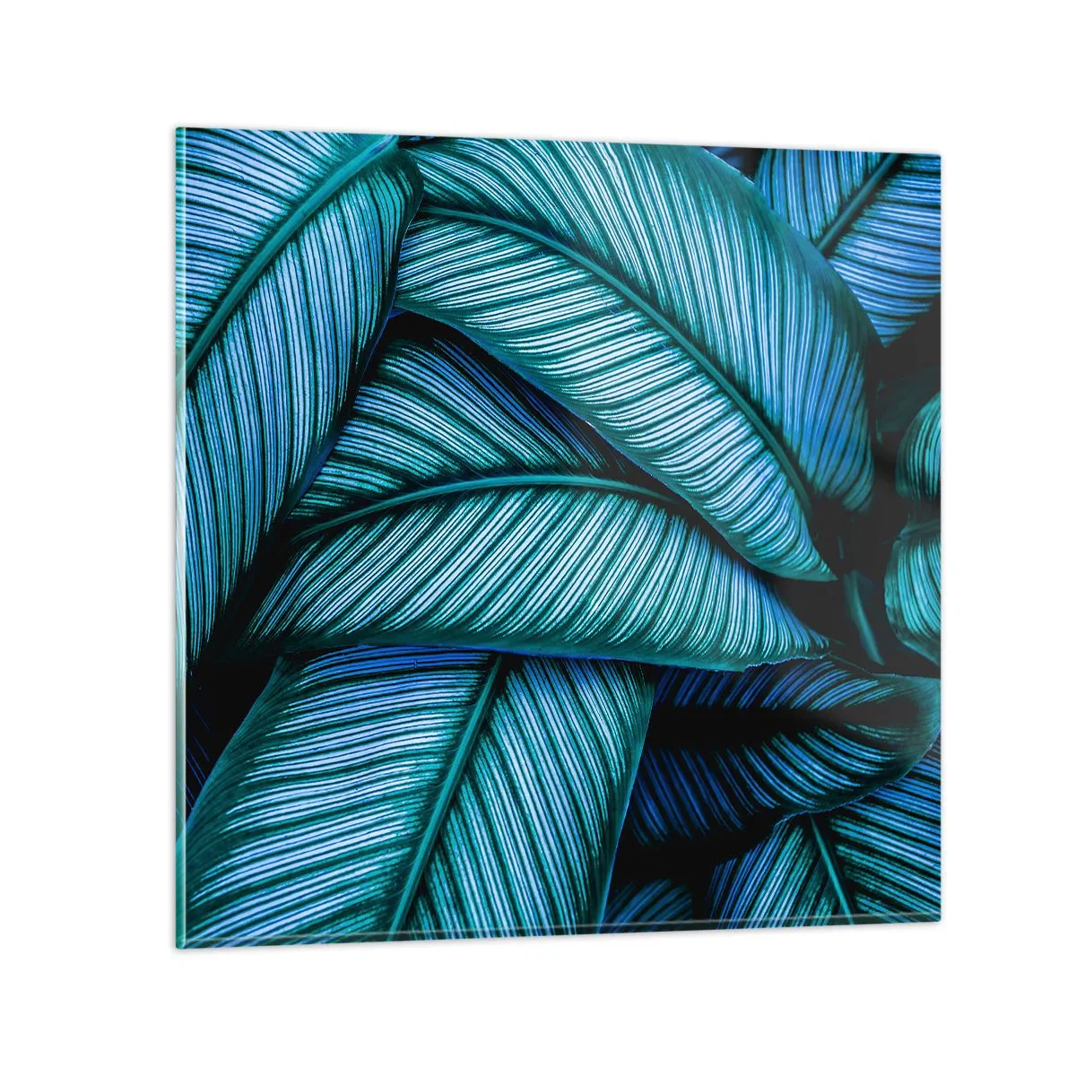 Cuadro sobre vidrio - Impresiones sobre Vidrio - Líneas de vida - 60x60 cm