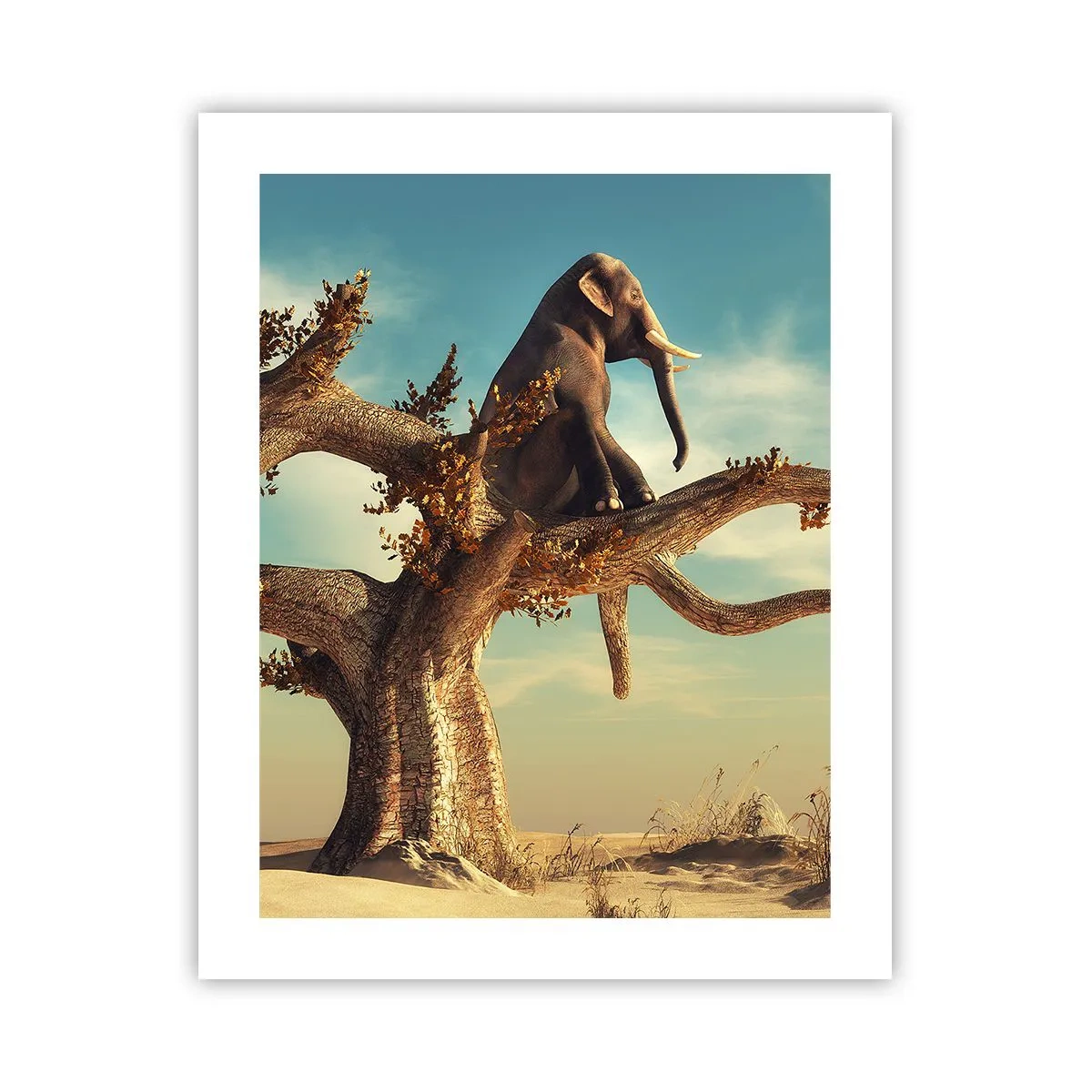 Póster - Un nuevo punto de vista - 40x50 cm