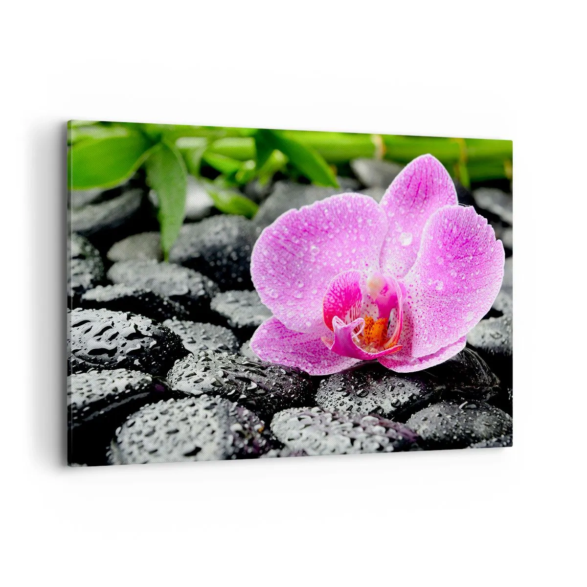 Cuadro sobre lienzo - Impresión de Imagen - Orquídea rosa sobre piedras negras mojadas con hojas verdes - 120x80cm - Como un corazón abierto - Decoración de pared moderna para salón y dormitorio ARTTOR