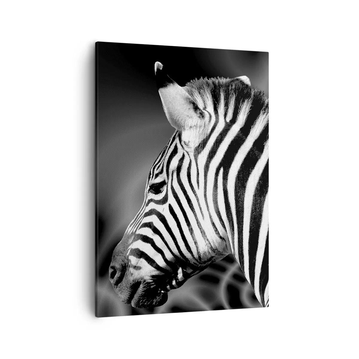 Cuadro sobre lienzo - Impresión de Imagen - Retrato en blanco y negro de una cebra sobre un fondo de patrones abstractos. - 50x70cm - El blanco es blanco, el negro es negro - Decoración de pared moderna para salón y dormitorio ARTTOR